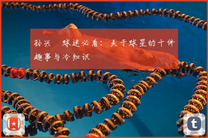 孙兴慜球迷必看:关于球星的十件趣事与冷知识